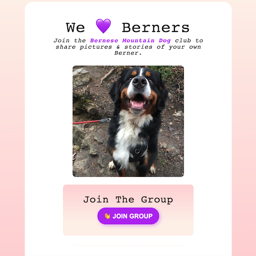 Bernese Mountain Dog website coded by Alix